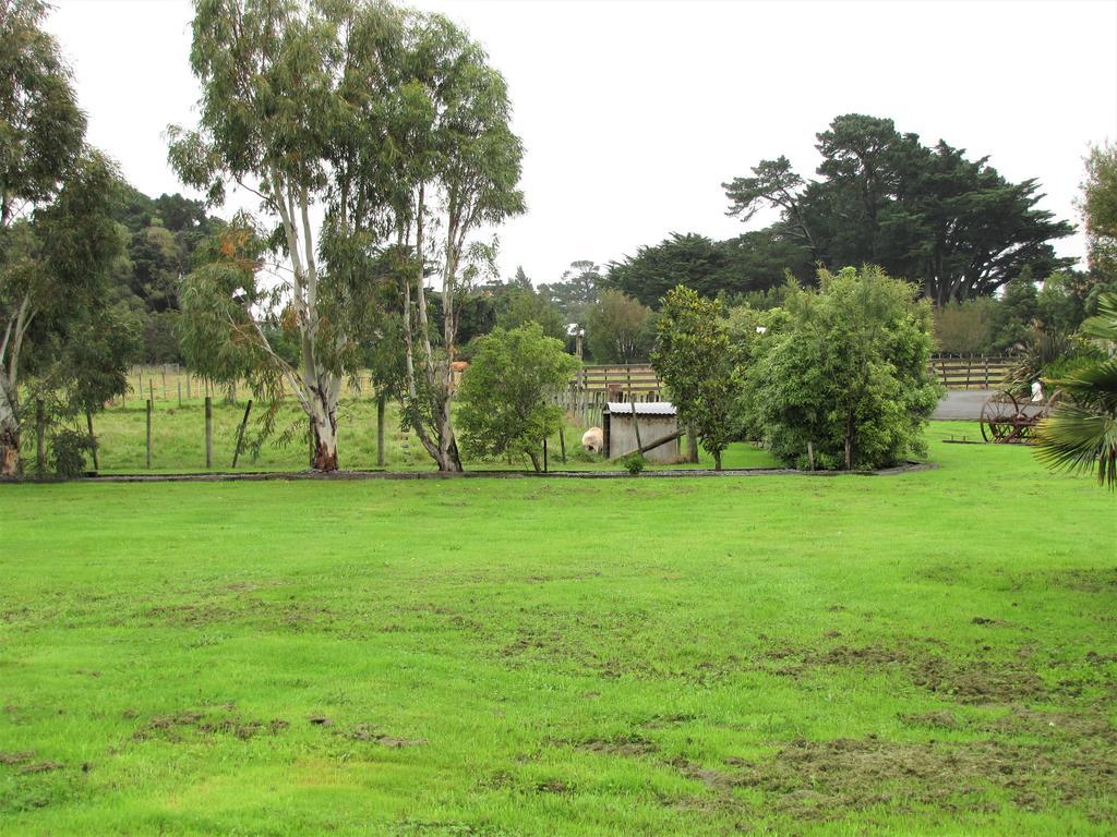 Cruz Inn Featherston エクステリア 写真